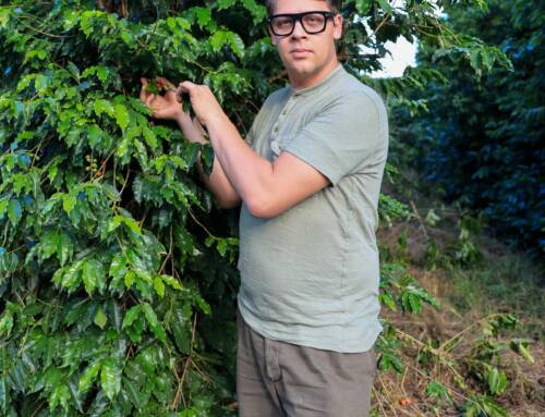 Les stocks de café du Brésil diminuent alors que les prix atteignent des records