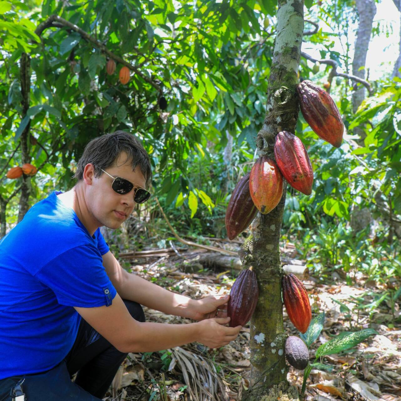 Le Ghana intensifie ses mesures contre la contrebande de cacao avec le soutien militaire