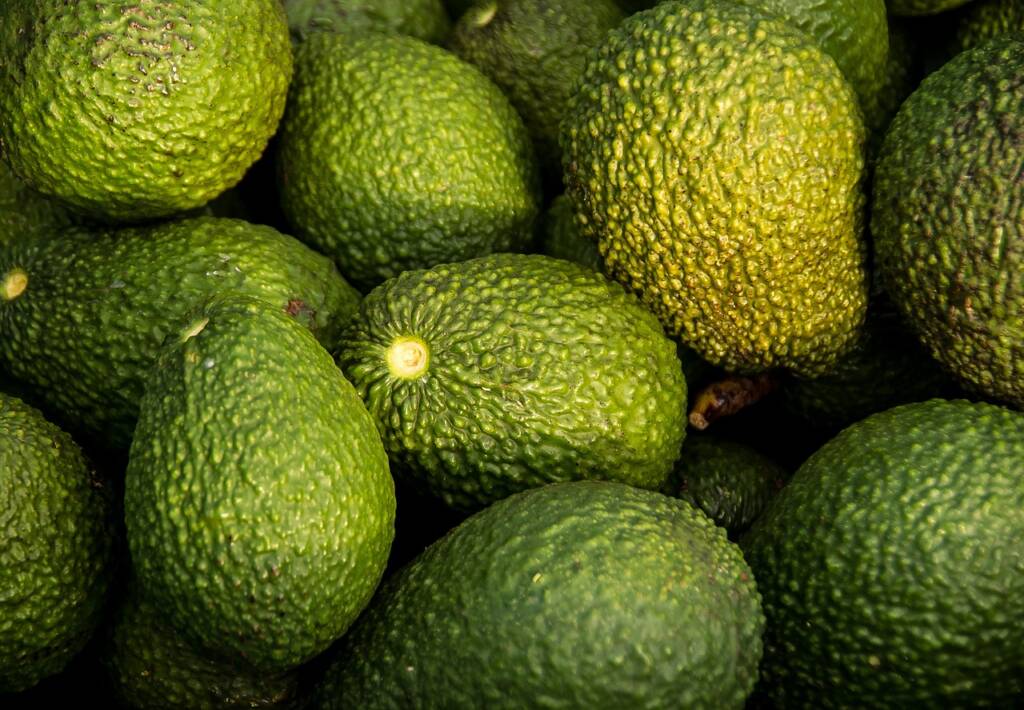 Les bienfaits de l'avocat et du citron un duo santé à découvrir