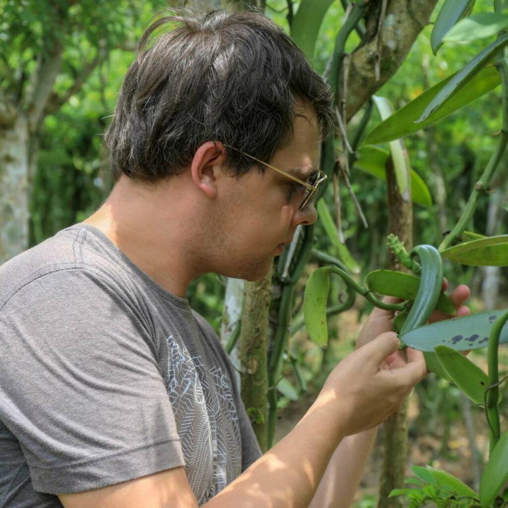 Une Étude sur la Vanille Brésilienne et ses Propriétés Chimiques et Antimicrobiennes