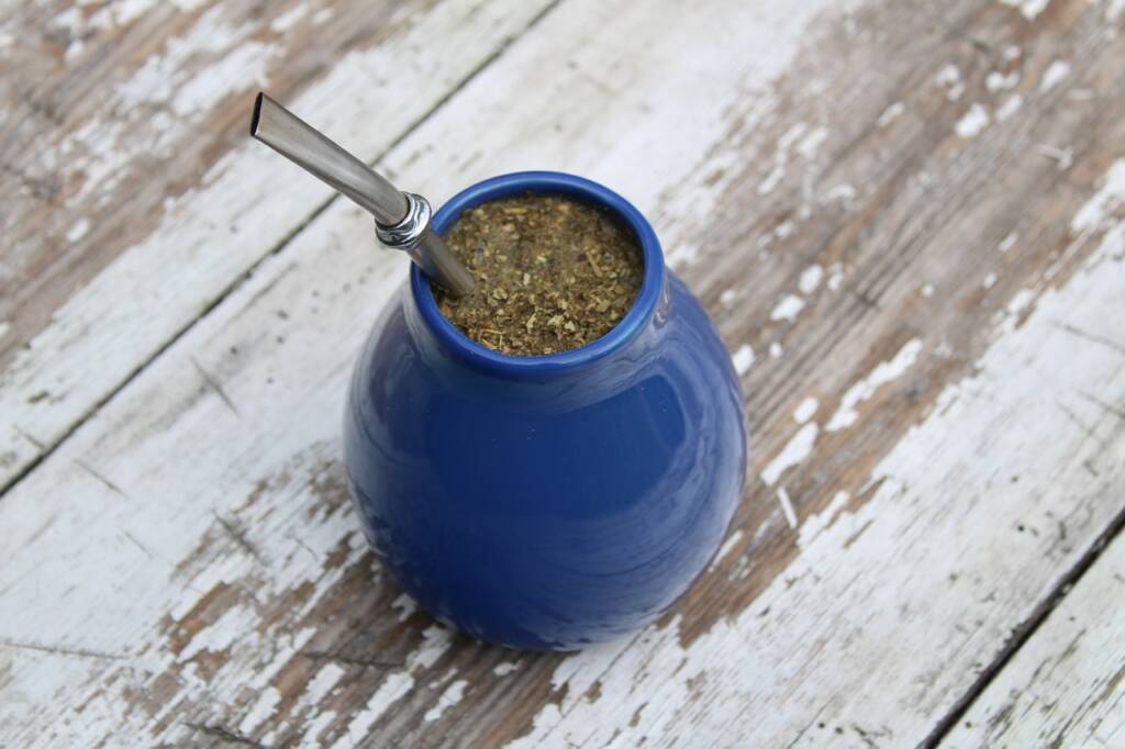 YERBA MATE (Ilex paraguariensis Saint Hillaire) ET SES BIENFAITS POUR LA SANTÉ